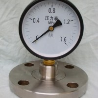 压力表 测量并指示高于环境压力