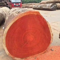 印尼菠萝格 非洲塔利 柳桉木实木户外栏杆木栈道园林古建筑防腐木 20米