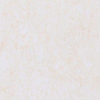 品果陶瓷防静电直铺地板瓷砖面层抗静电600*600*10MM耐磨防火机房