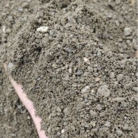 厂家直供普通粗沙打混凝土贴地砖建筑装修水泥沙浆用砂工程用沙子 10立方