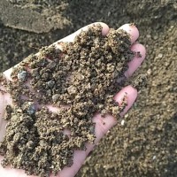 厂家直供水洗再生沙建筑工程装修砂石量大从优可开发票 10立方