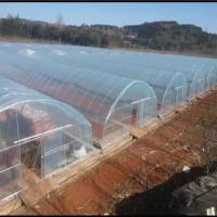 ​云南温室大棚蔬菜棚养殖棚镀锌钢管热轧镀锌圆管管厂家现货批发 5千克